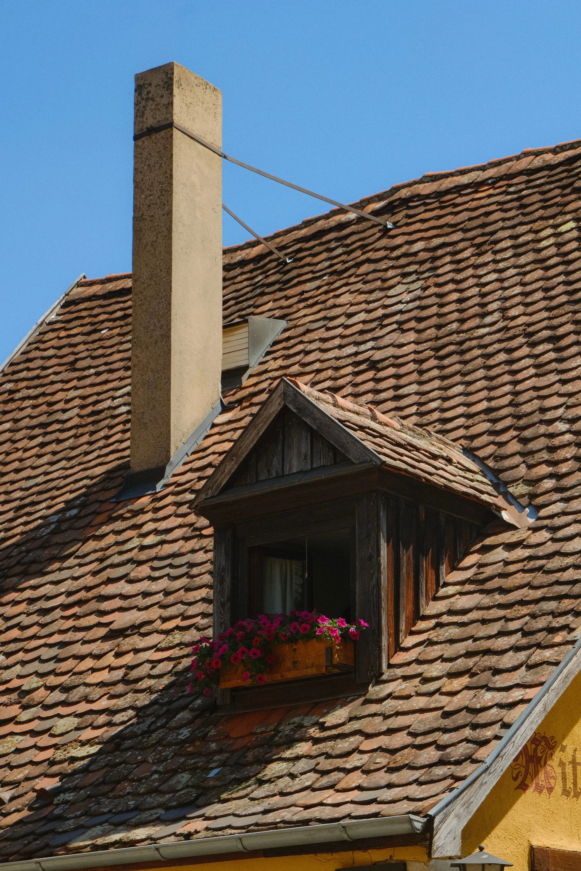 A tiled roof with a dormer window set into it